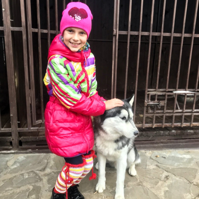 Масленица с хаски