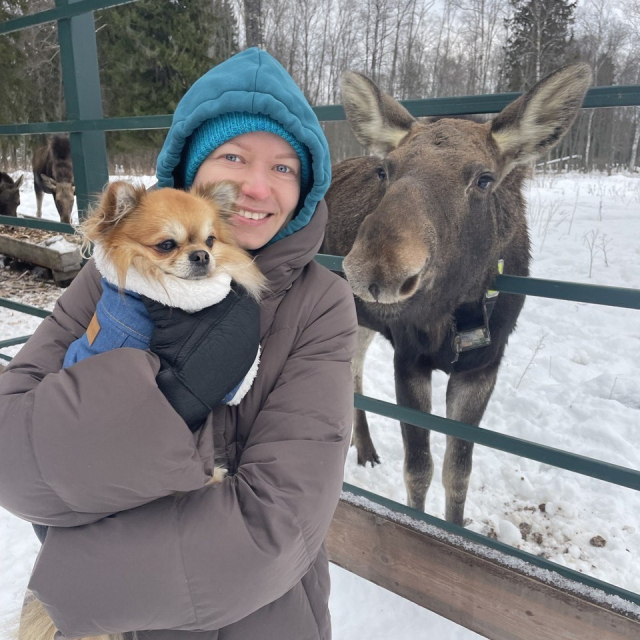 Новогодний Ярославль и Кострома 3 дня/ 2 ночи